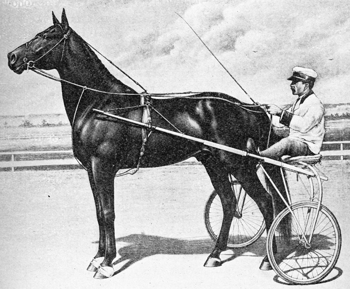 Dan Patch Lazarus live from the US Harness Racing Victoria